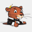 laundrygopher.com