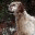 dobrakob.wordpress.com