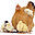 chasehatchery.com