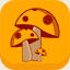 pioperuzzini.it