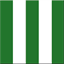 ropantic.com