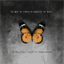 lecridupapillon.over-blog.com