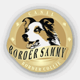 bordersammy.com.br