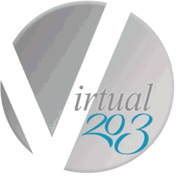virtual203.com