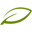 leafnativas.com