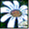 080flowernet.com