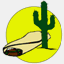 tucsoninterviewed.com