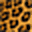 leopardesign.com