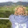atitheoflife.wordpress.com