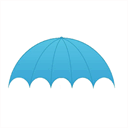 thebluebrolly.com