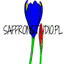 saffronstudio.pl