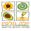 yulabriut.com
