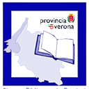 sbp.provincia.verona.it