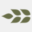 appliedgenetics.org