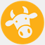 moowebdesign.com