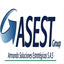 asestgroup.com
