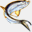 gspboat.com