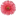 bloom-relaxation.com