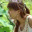 lilylele.wordpress.com