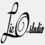 lizostudio.com