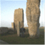 stonesinfields.com