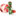 pesaroascensoriservice.eu