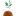 insurgoproject.com