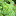 mintkitty.net