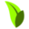 avataatea.com