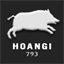 hoangi.de