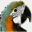handrearedparrots.co.uk