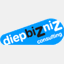 diepbizniz.nl