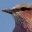 dougslr.wordpress.com