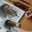 javapages4all.wordpress.com