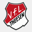 vfl-theesen.de