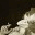 inflatabledate.wordpress.com