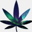 stoners-euphoria.com