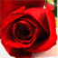 krysnoah.com