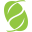 maccpf.ca