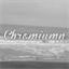 chromiumn.com