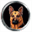 k9detections.com