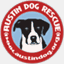 austindog.org