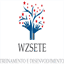 wzsete.com