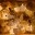 closedloops.wordpress.com