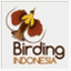 birdingindonesia1.wordpress.com