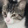 catfosterblog.wordpress.com