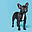 mpfordogs.com