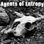 agentsofentropy.nl