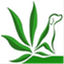 thehemphound.com