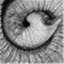 boringage.wordpress.com